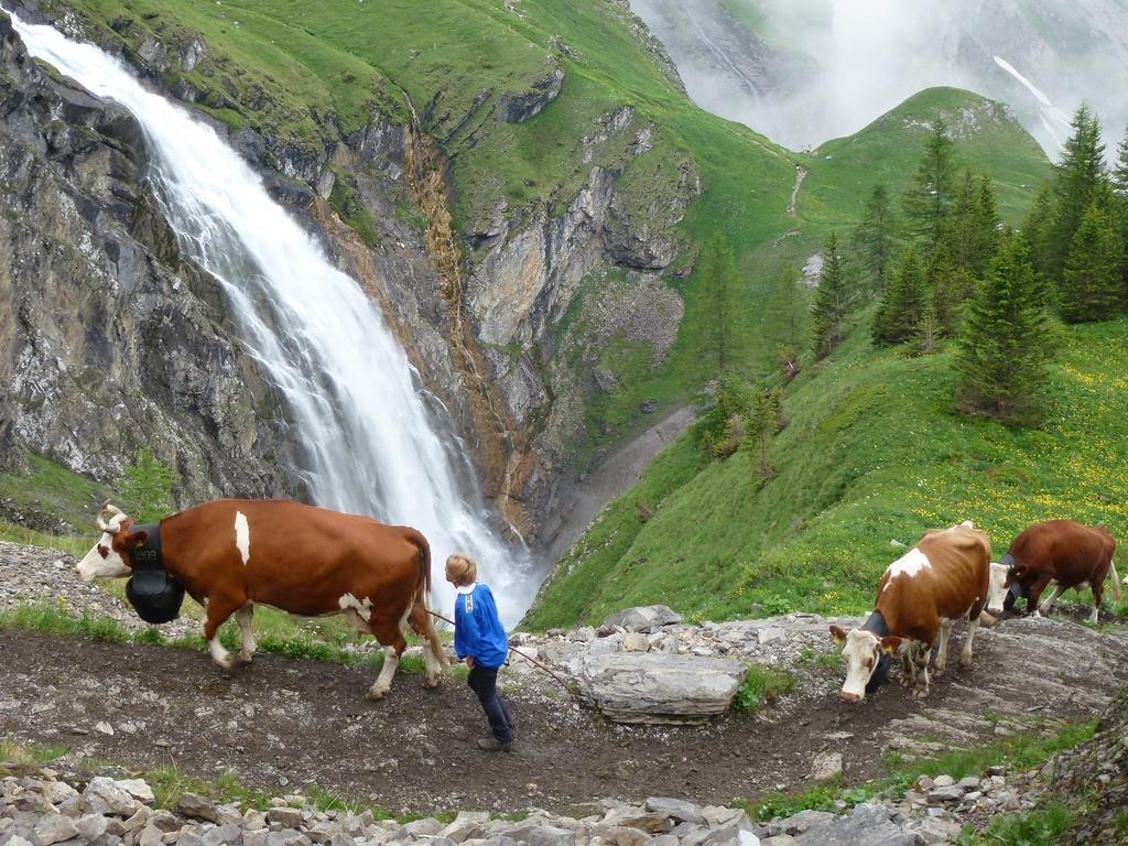 Hotel Hari Im Schlegeli Adelboden Eksteriør bilde