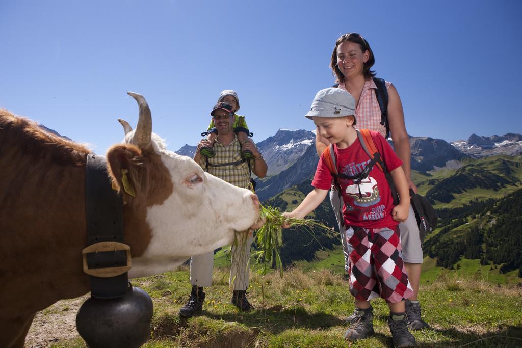 Hotel Hari Im Schlegeli Adelboden Eksteriør bilde