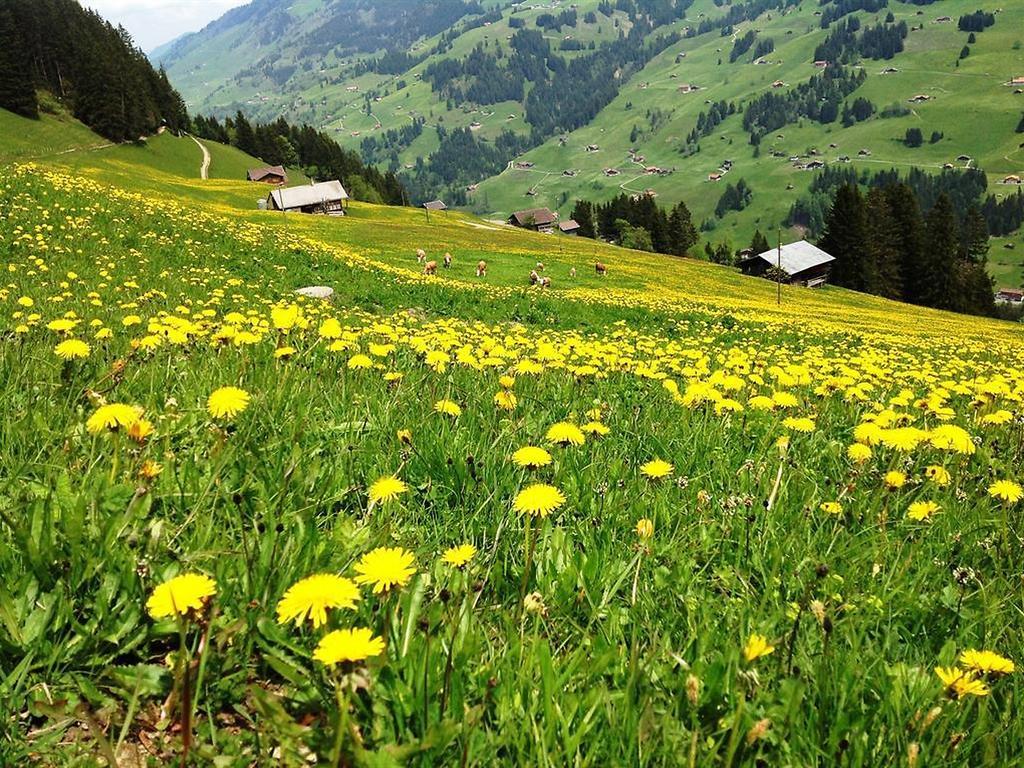 Hotel Hari Im Schlegeli Adelboden Eksteriør bilde