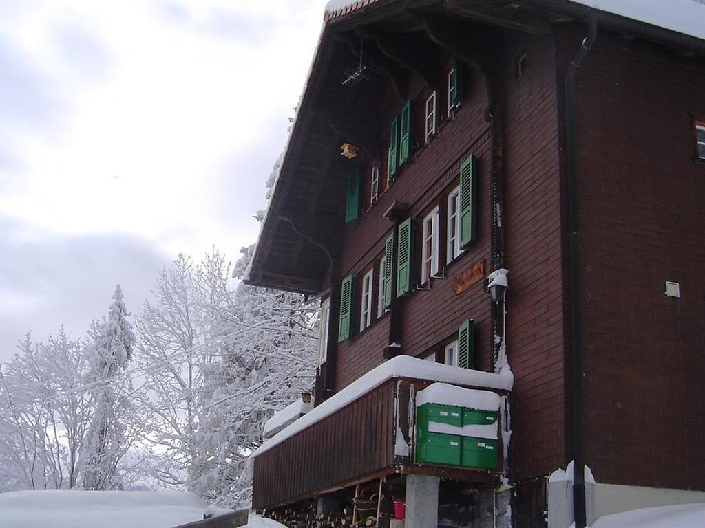 Hotel Hari Im Schlegeli Adelboden Eksteriør bilde