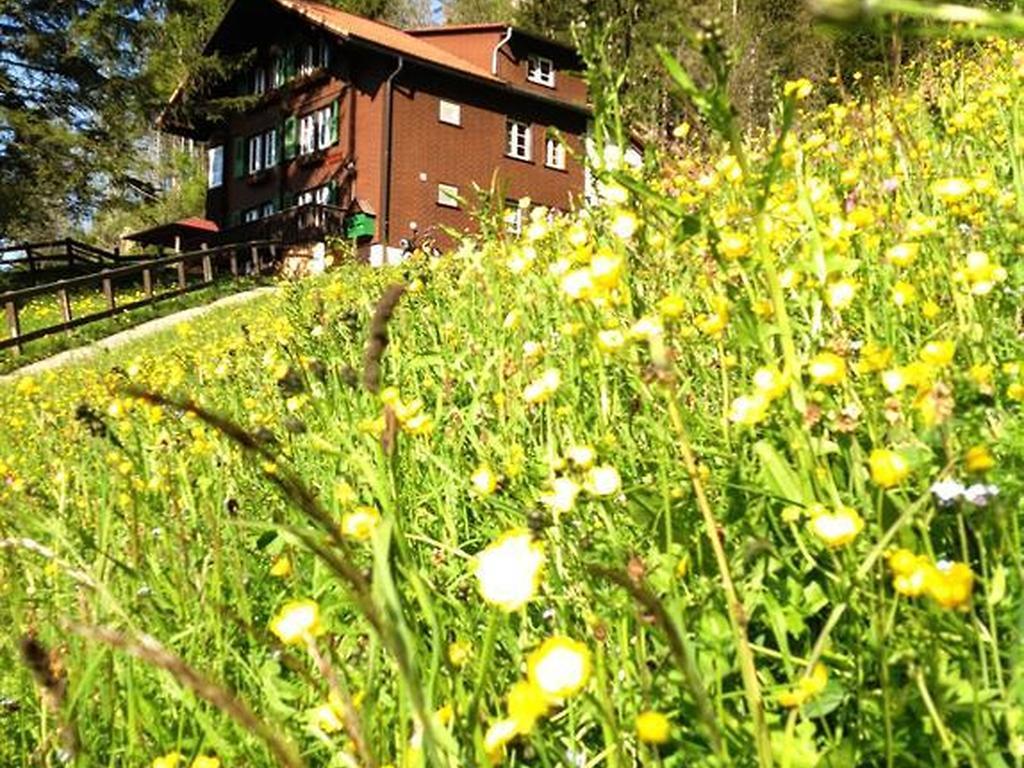 Hotel Hari Im Schlegeli Adelboden Eksteriør bilde